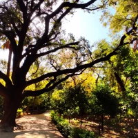 National Gardens of Athens